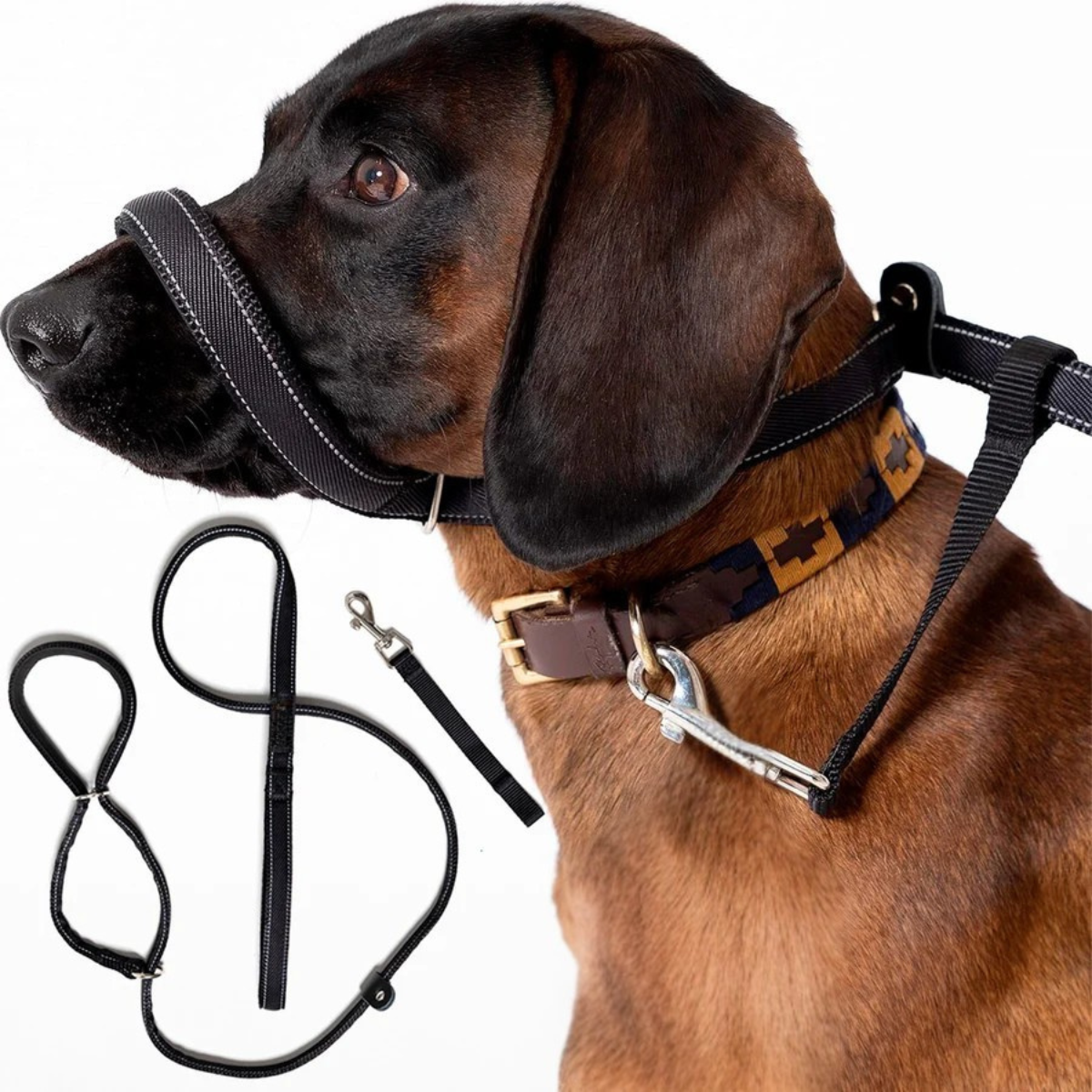 Linuva™ Laisse plate en forme de 8