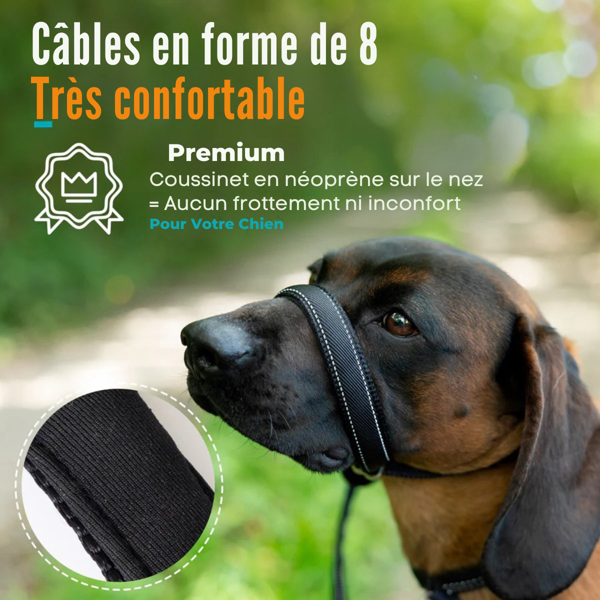 Linuva™ Laisse plate en forme de 8