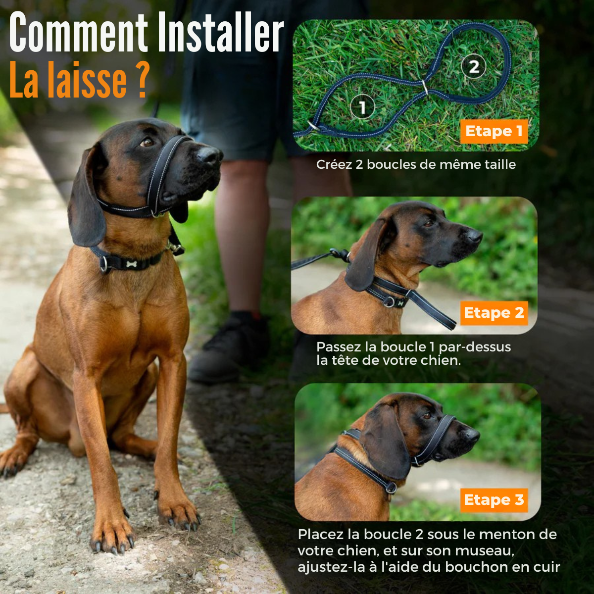 Linuva™ Laisse plate en forme de 8