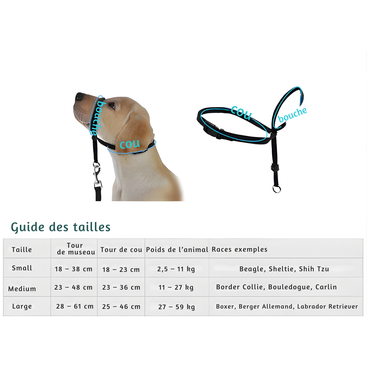 Linuva™ Laisse plate en forme de 8